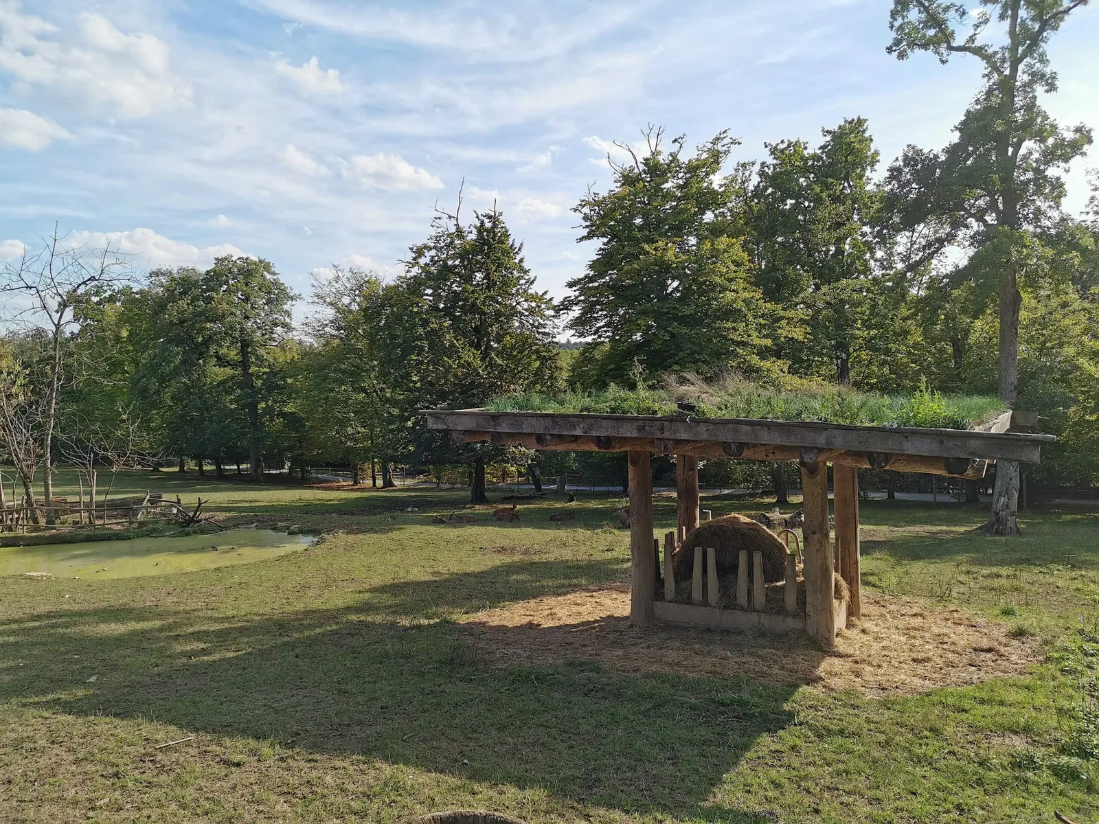 Bad Mergentheim Wildlife Park