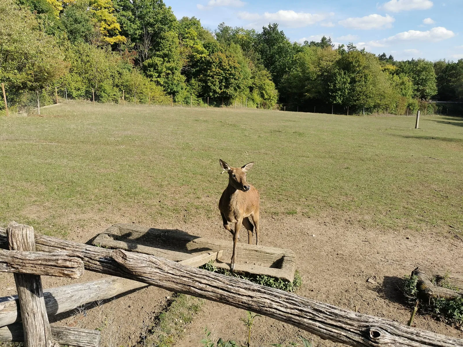 Wildpark Bad Mergentheim