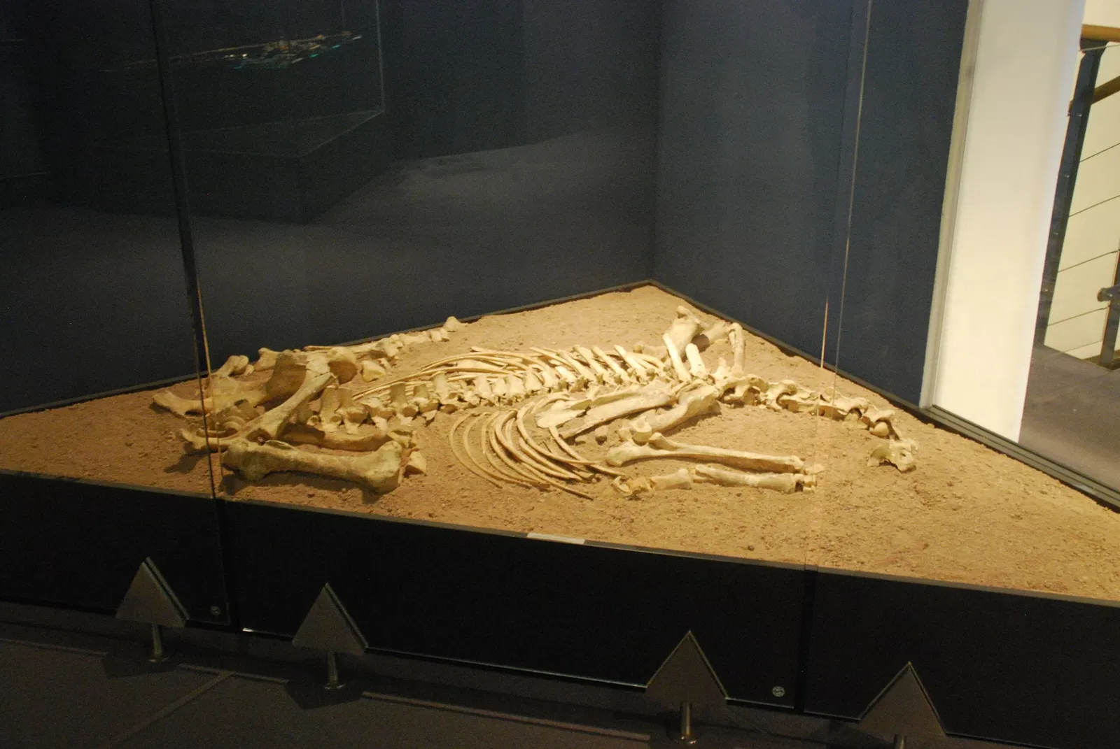 Alamannenmuseum Ellwangen