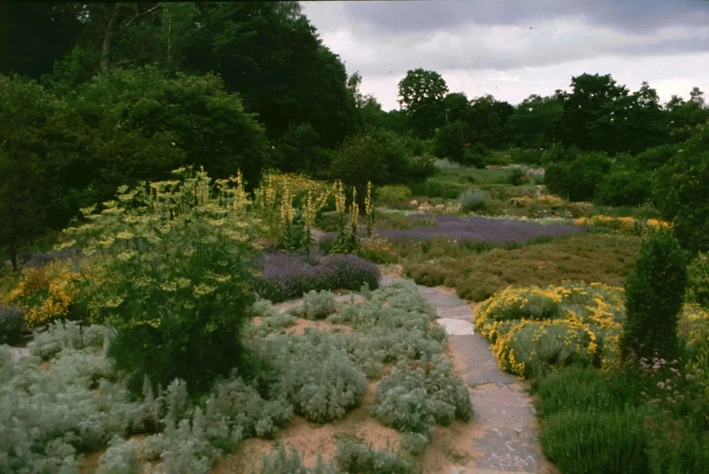 Aromatic Garden