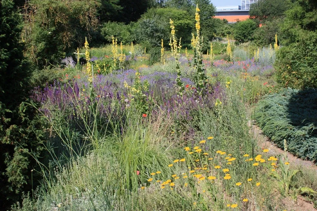 Jardín de plantas aromáticas de Erlangen
