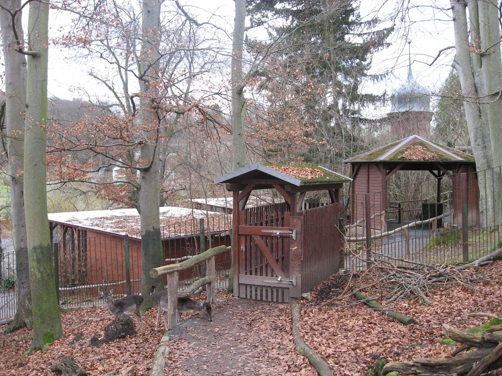 Tiergarten Eisenberg