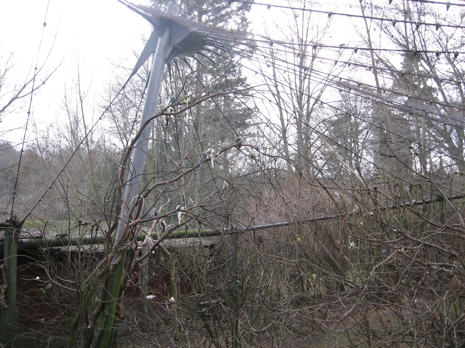Tiergarten Eisenberg