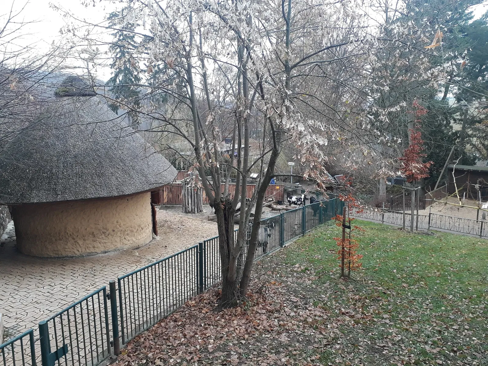 Tiergarten Eisenberg