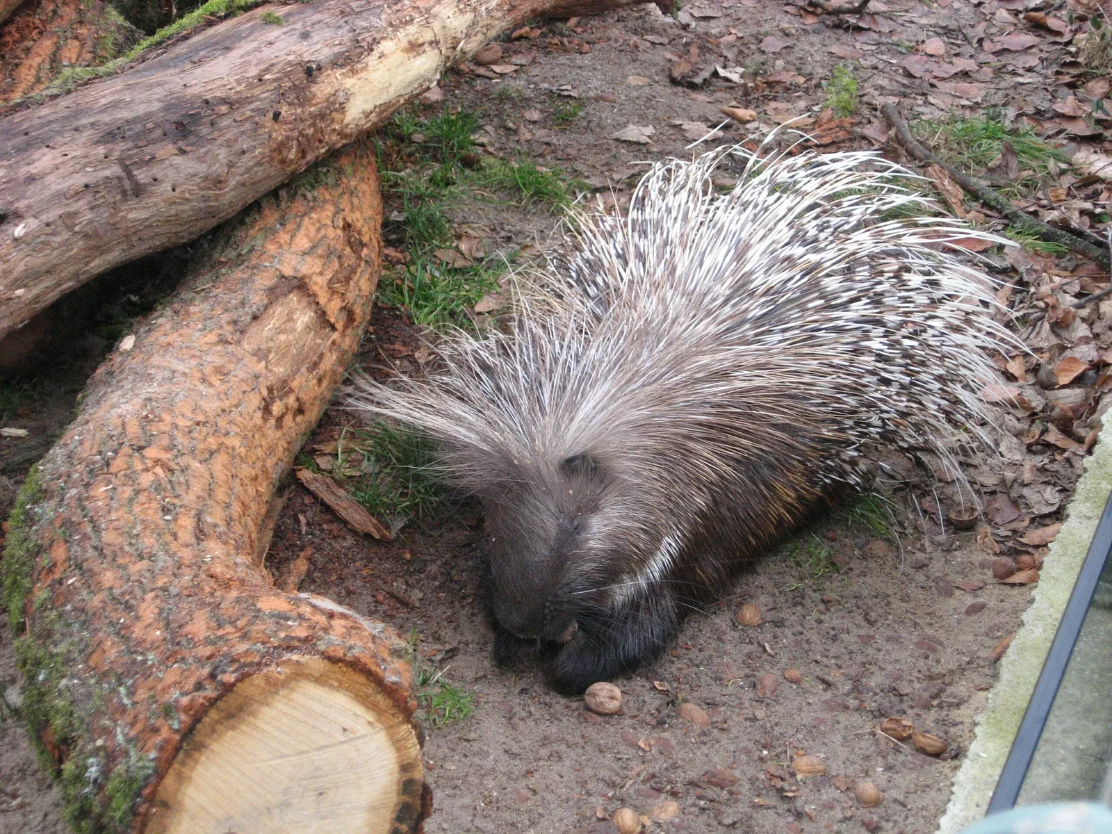 Tiergarten Eisenberg