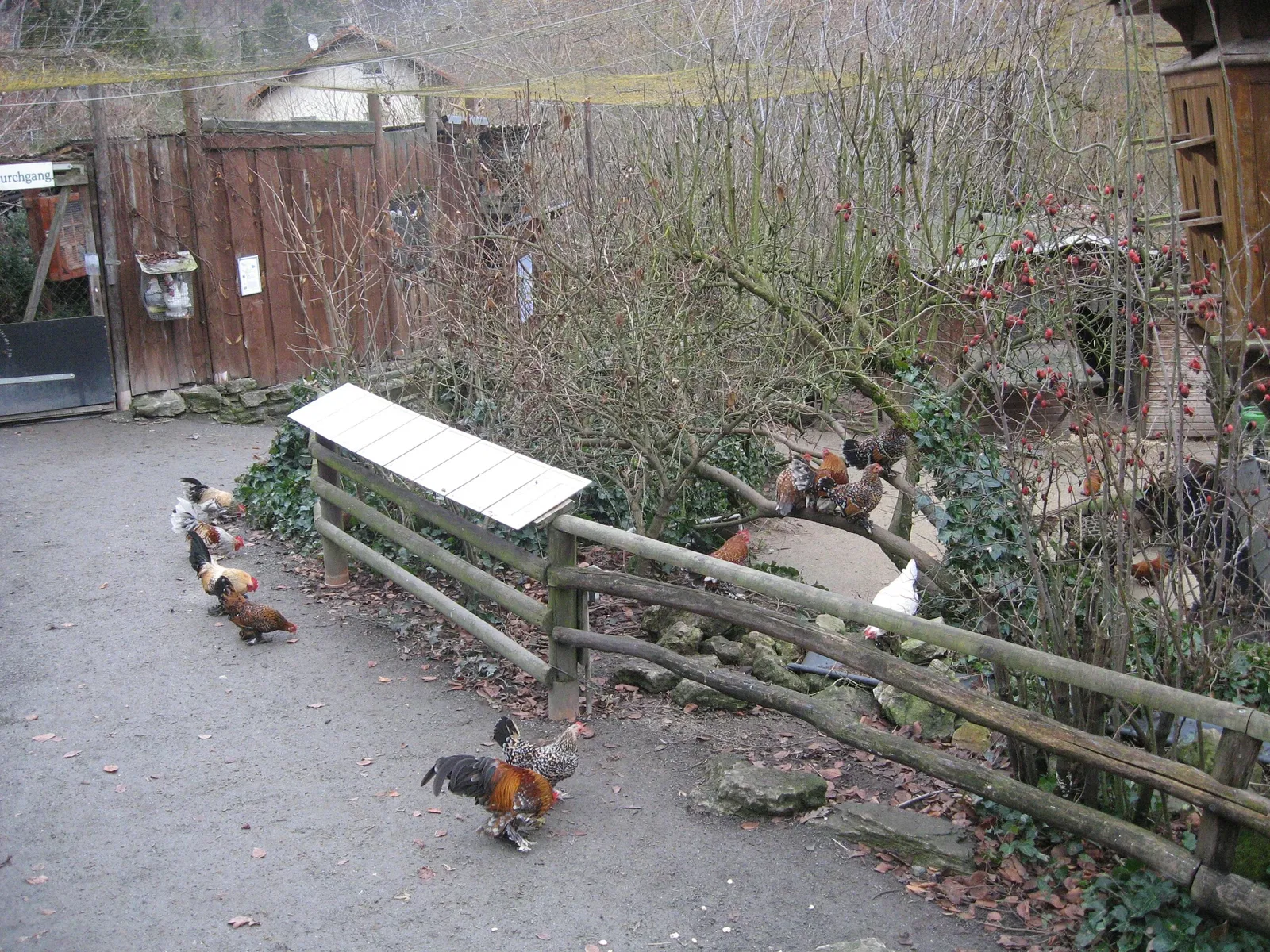 Tiergarten Eisenberg