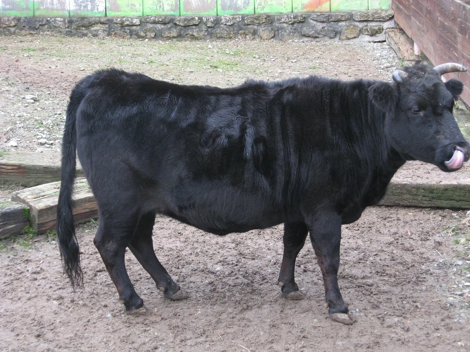 Tiergarten Eisenberg
