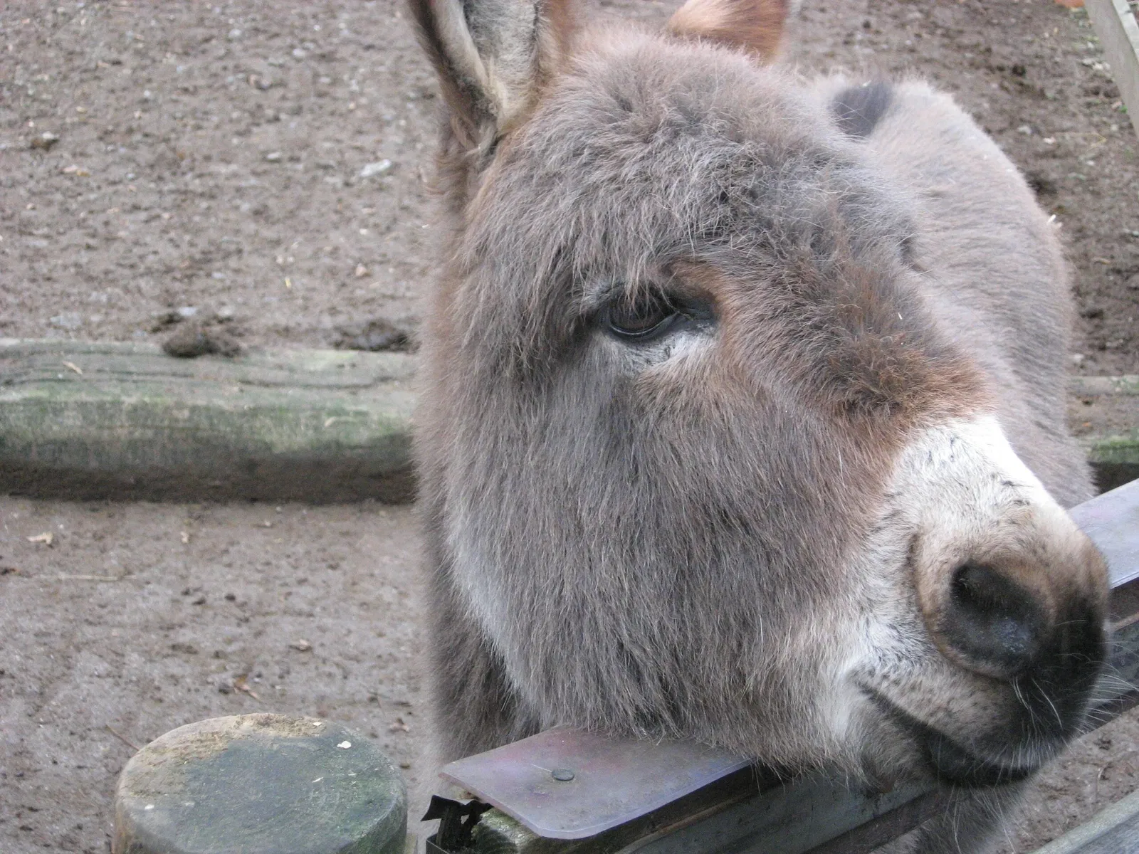 Tiergarten Eisenberg