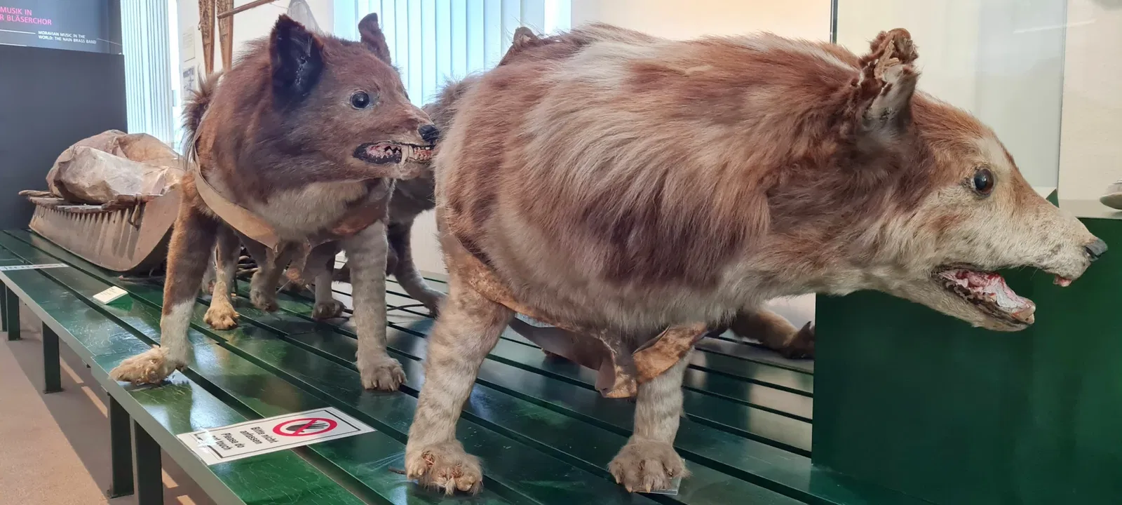 Musée d'ethnologie de Herrnhut