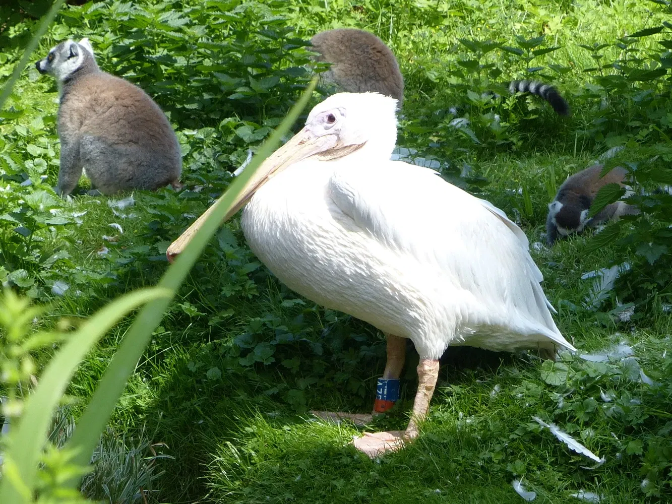 Tierpark Bad Pyrmont