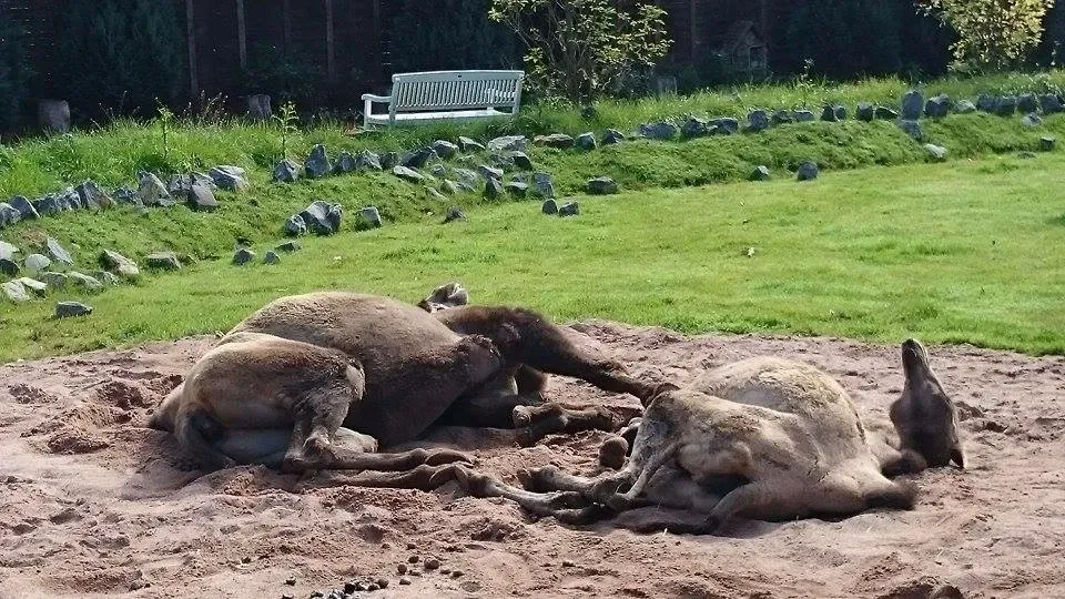 Tierpark Bad Pyrmont