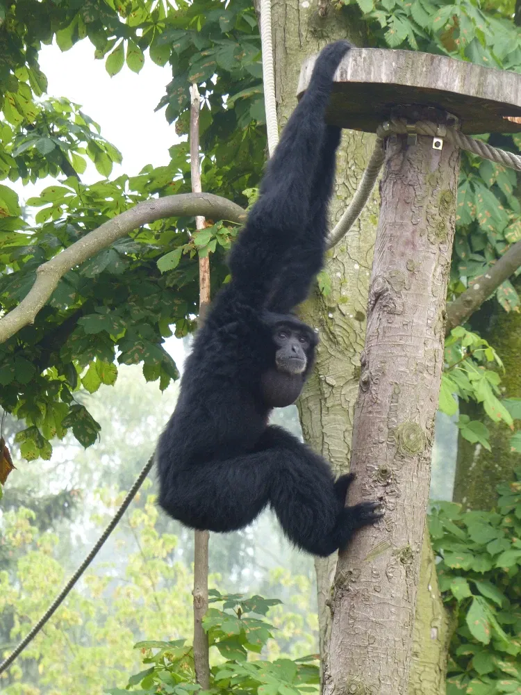Tierpark Bad Pyrmont