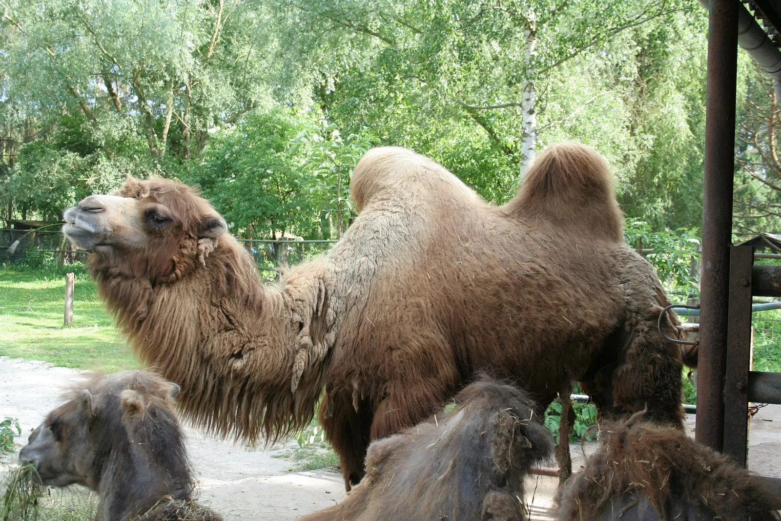 Tierpark Bad Pyrmont