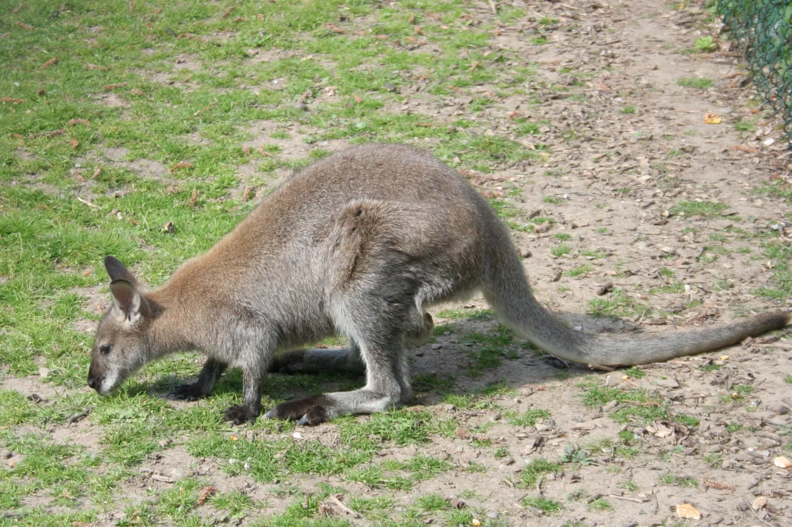 Tierpark Bad Pyrmont