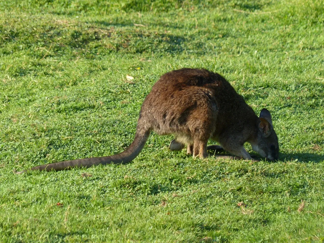 Tierpark Bad Pyrmont