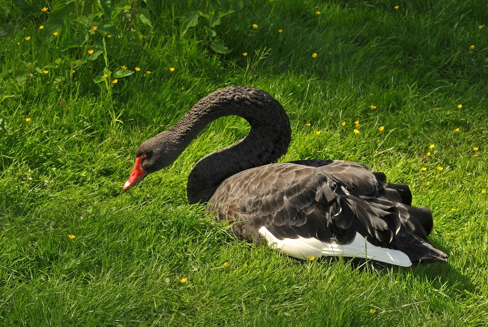 Tierpark Bad Pyrmont