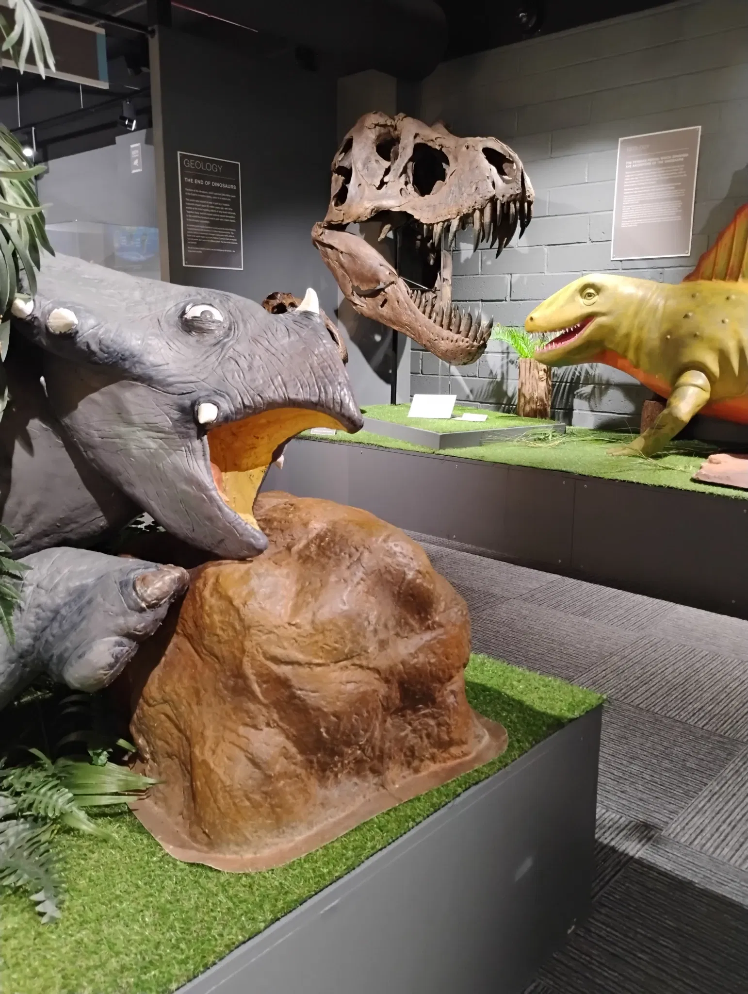 Dudley Museum at the Archives