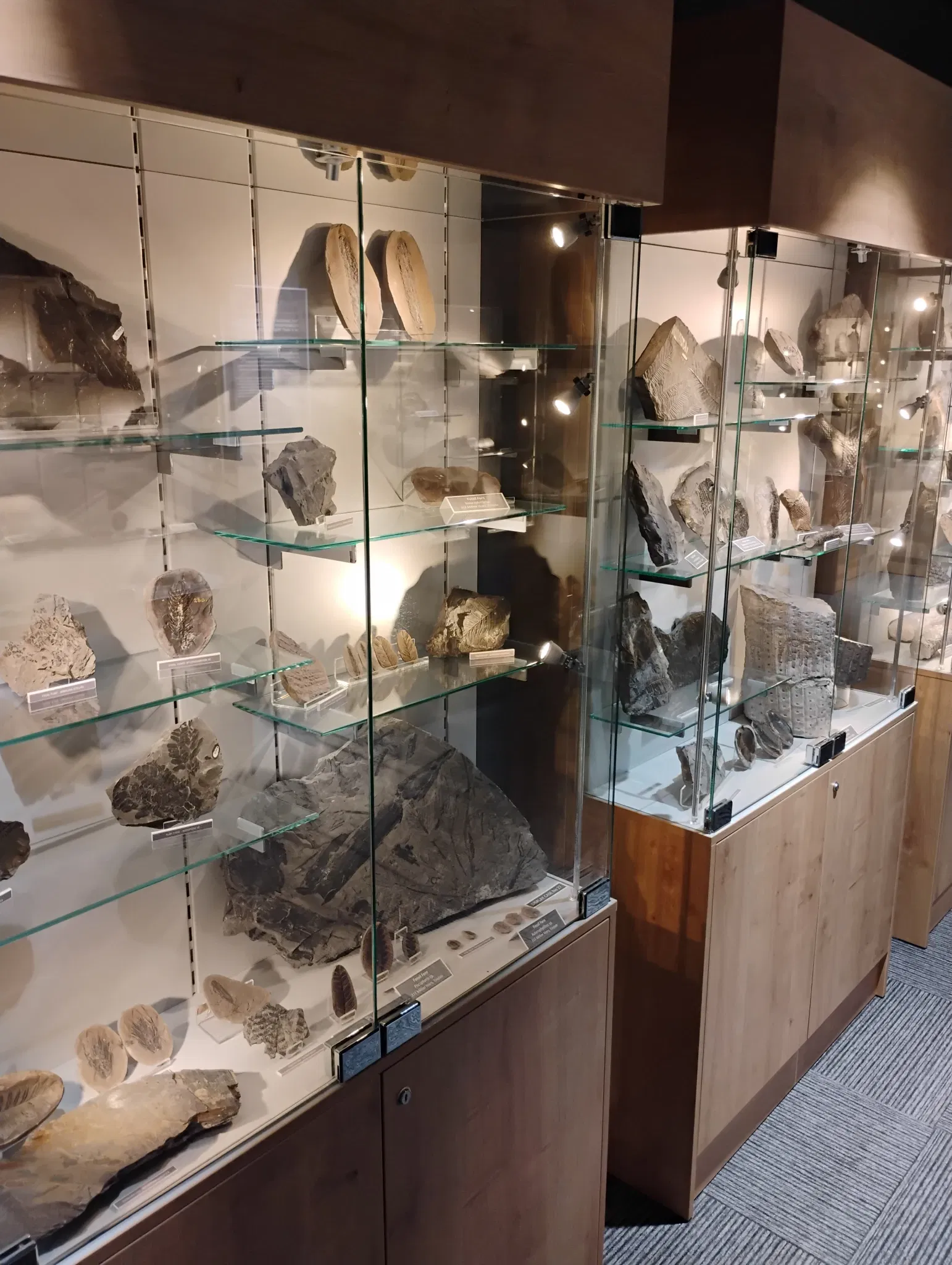 Dudley Museum at the Archives