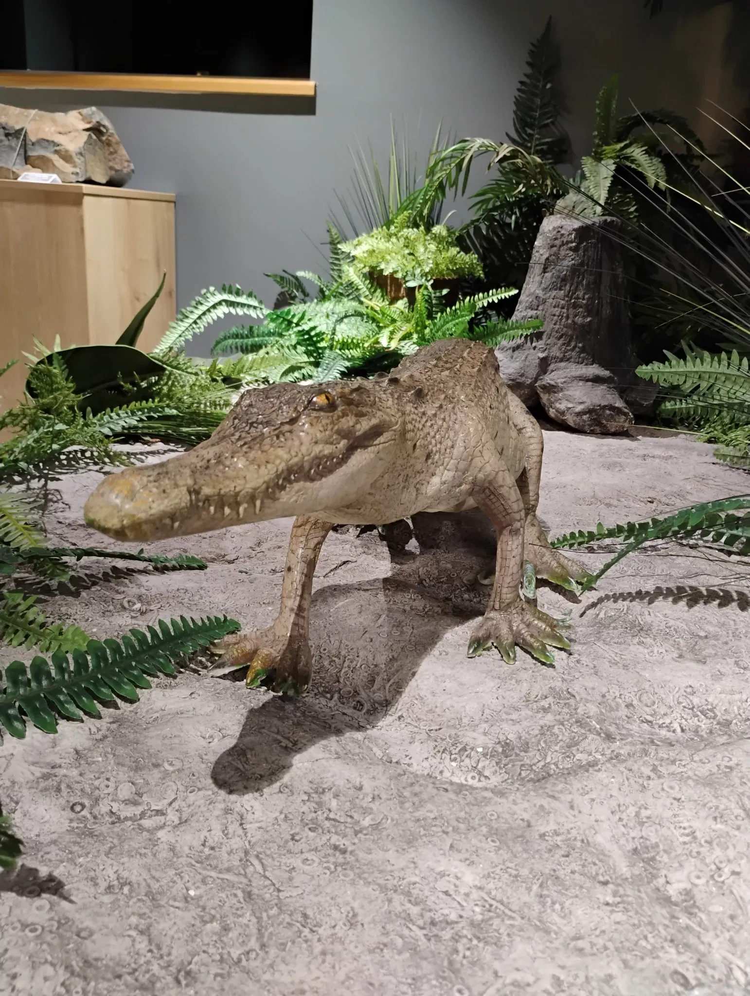 Dudley Museum at the Archives