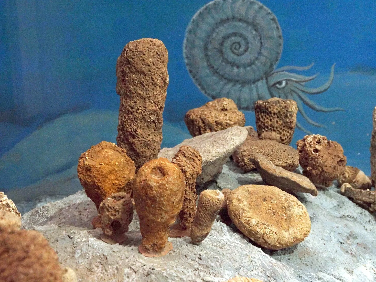 Fränkische-Schweiz-Museum