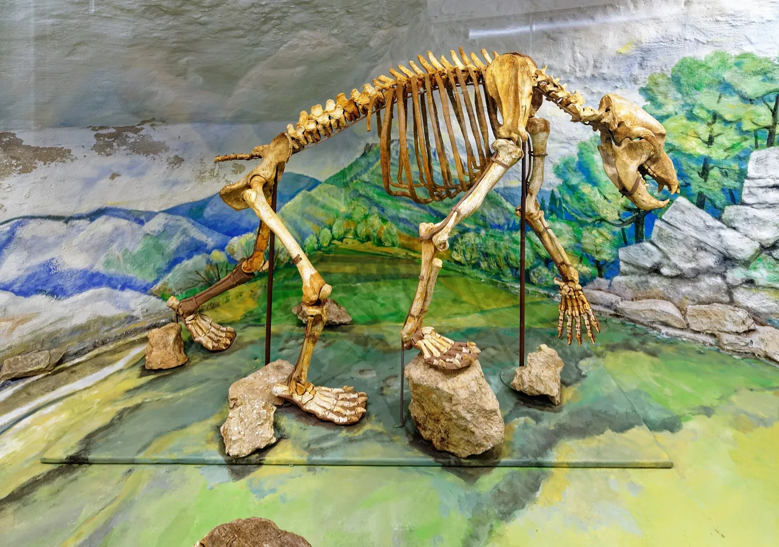 Fränkische-Schweiz-Museum