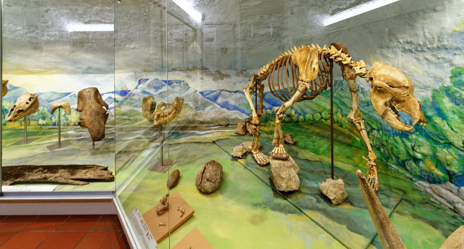 Fränkische-Schweiz-Museum