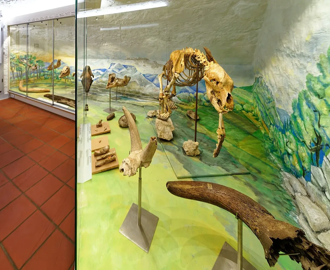 Fränkische-Schweiz-Museum