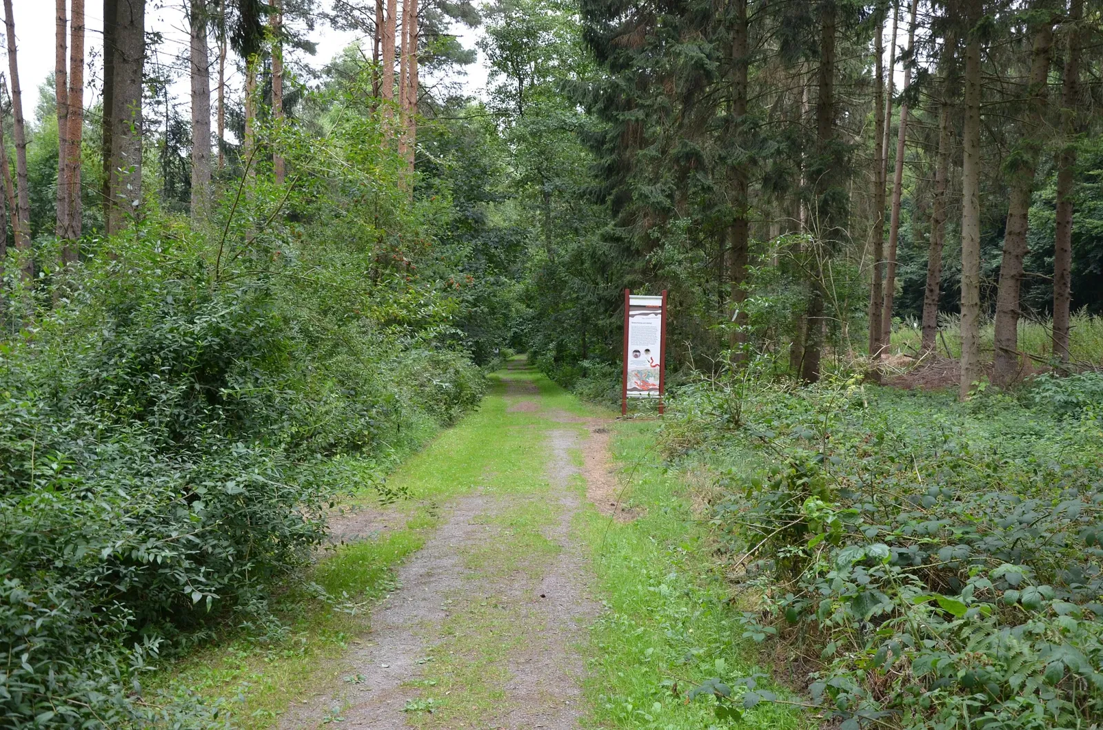 Varusschlacht im Osnabrücker Land - Museum und Park Kalkriese