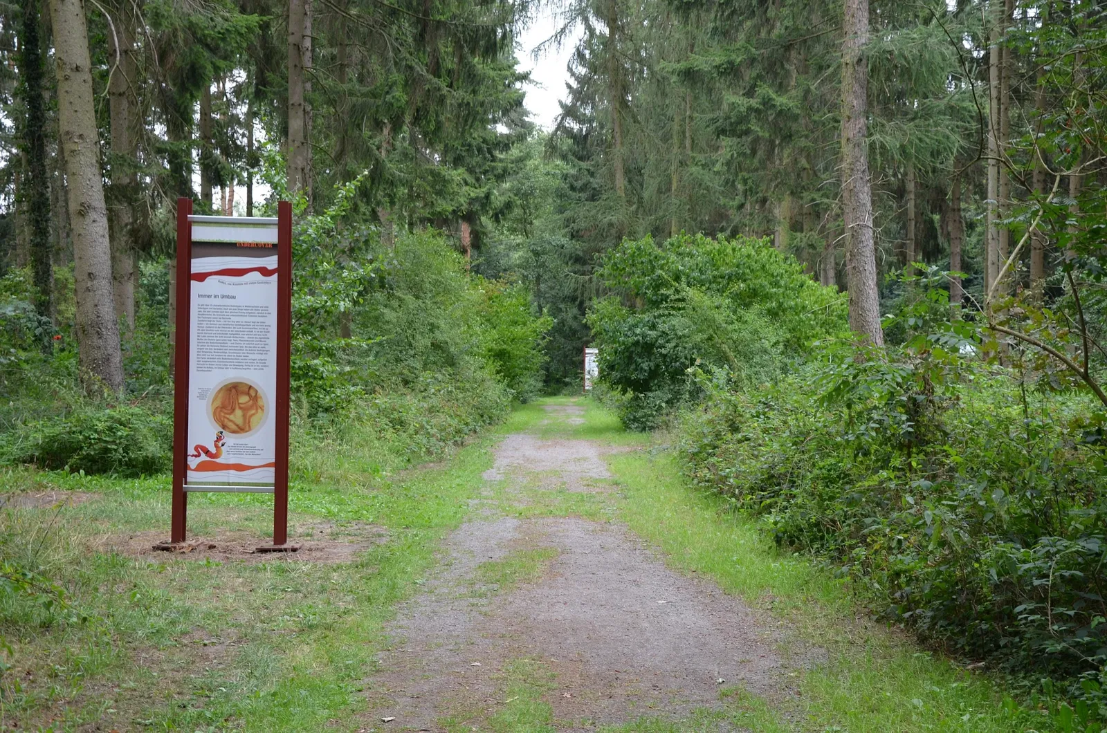 Varusschlacht im Osnabrücker Land - Museum und Park Kalkriese