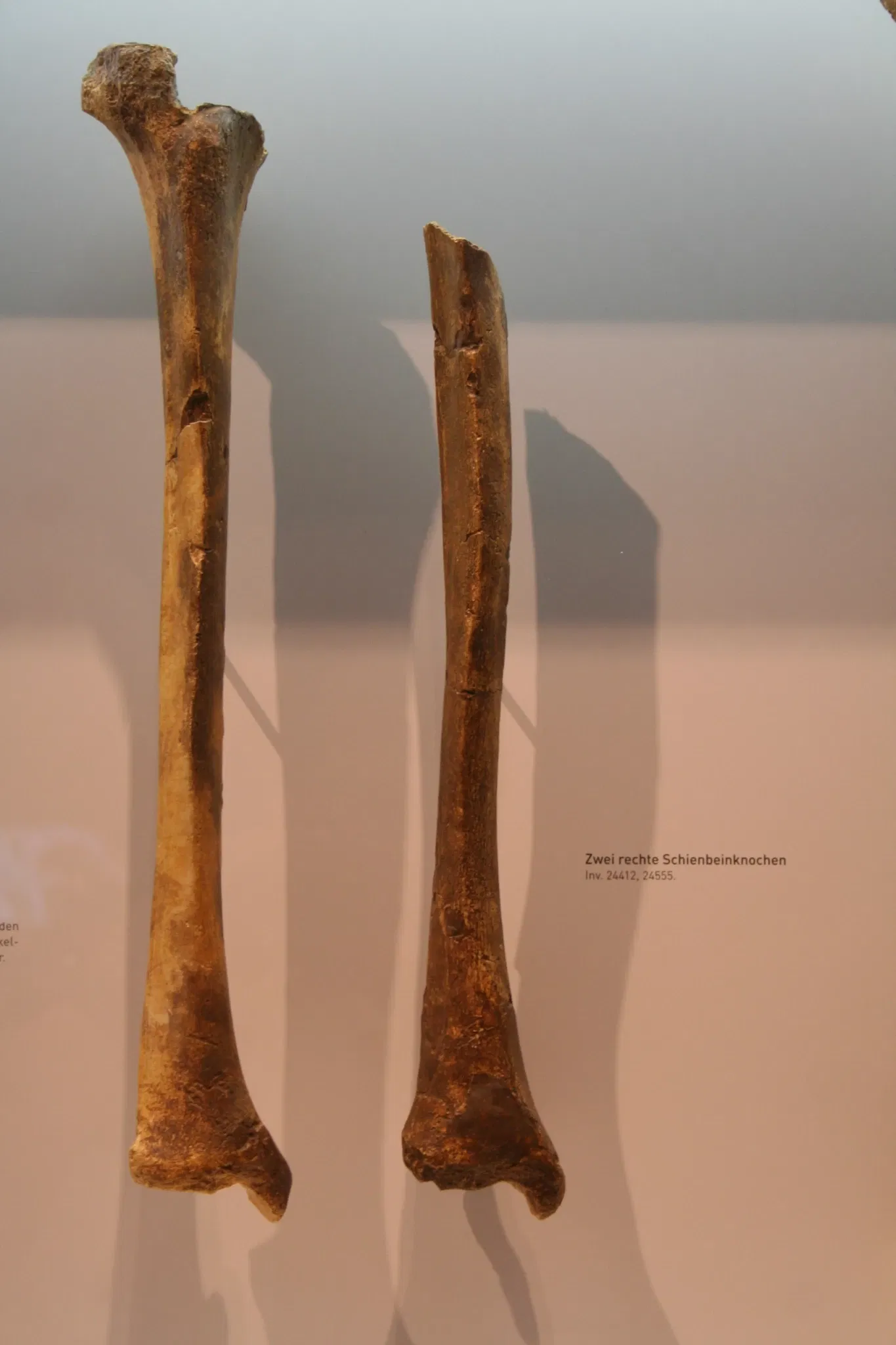 Varusschlacht im Osnabrücker Land - Museum und Park Kalkriese