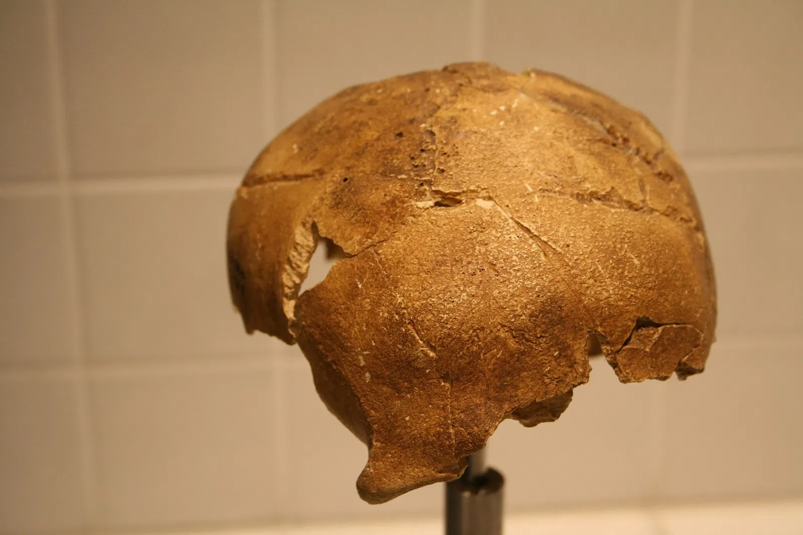 Varusschlacht im Osnabrücker Land - Museum und Park Kalkriese