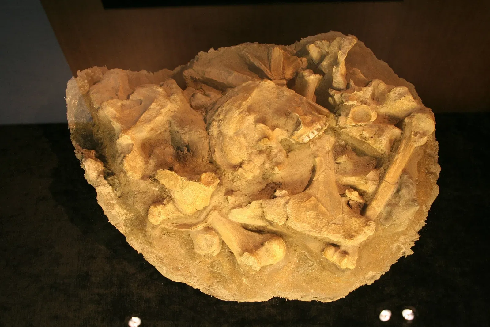 Varusschlacht im Osnabrücker Land - Museum und Park Kalkriese