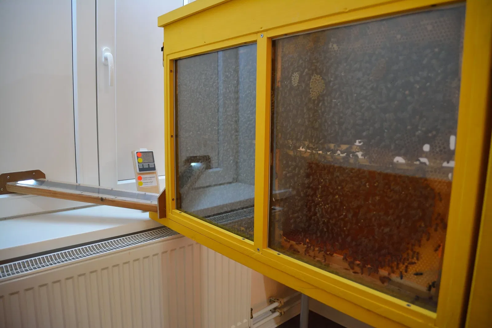 Naturkundemuseum Niebüll