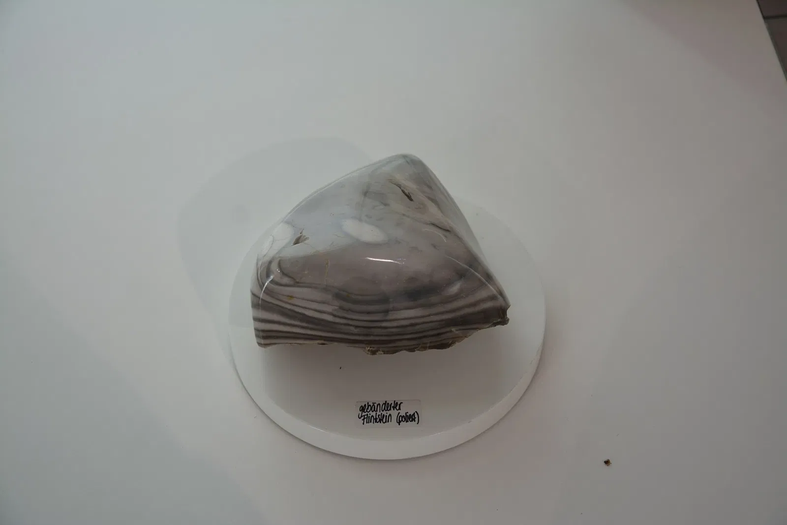 Naturkundemuseum Niebüll