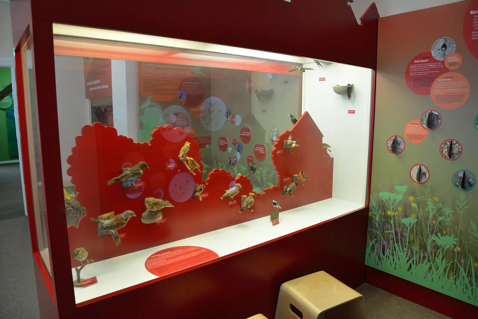 Naturkundemuseum Niebüll