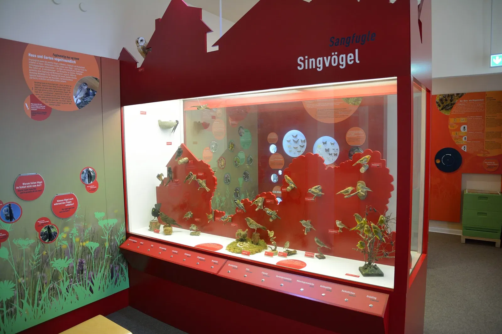 Naturkundemuseum Niebüll