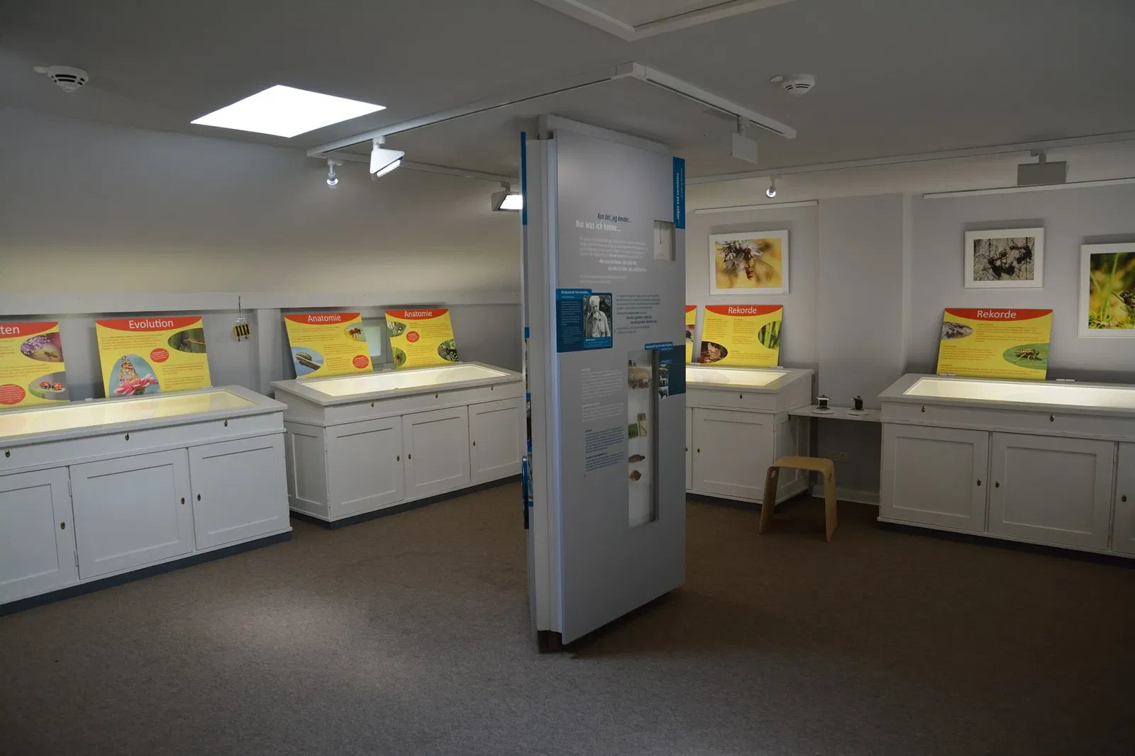 Naturkundemuseum Niebüll