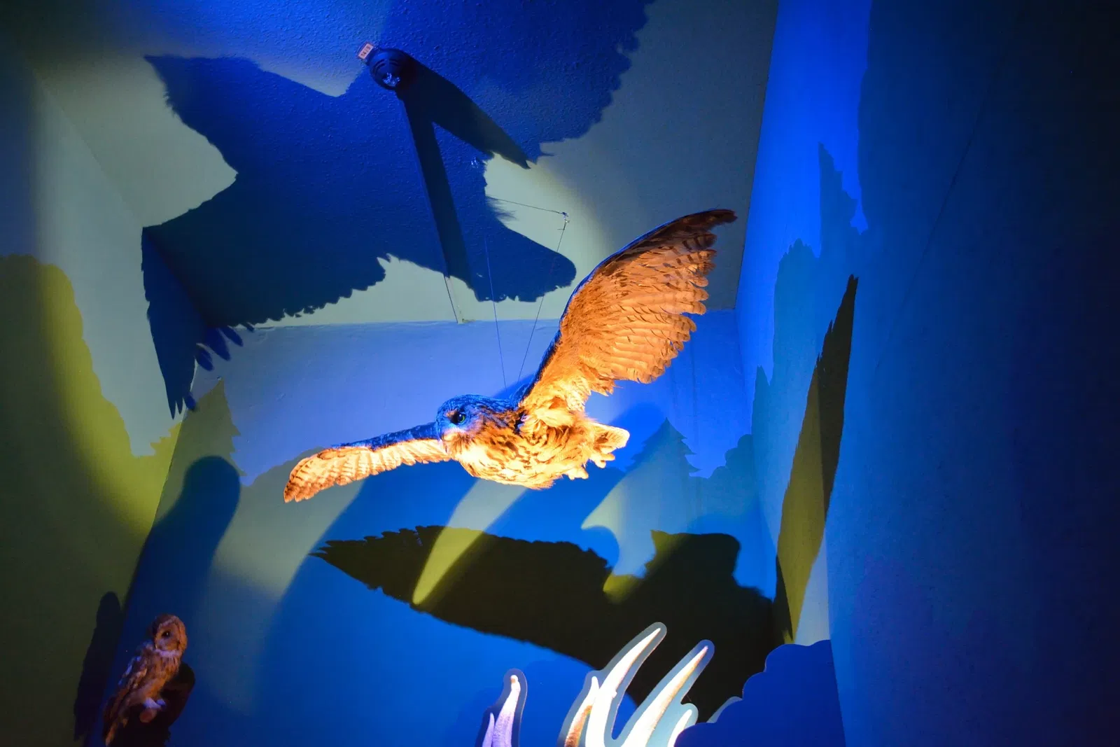 Naturkundemuseum Niebüll