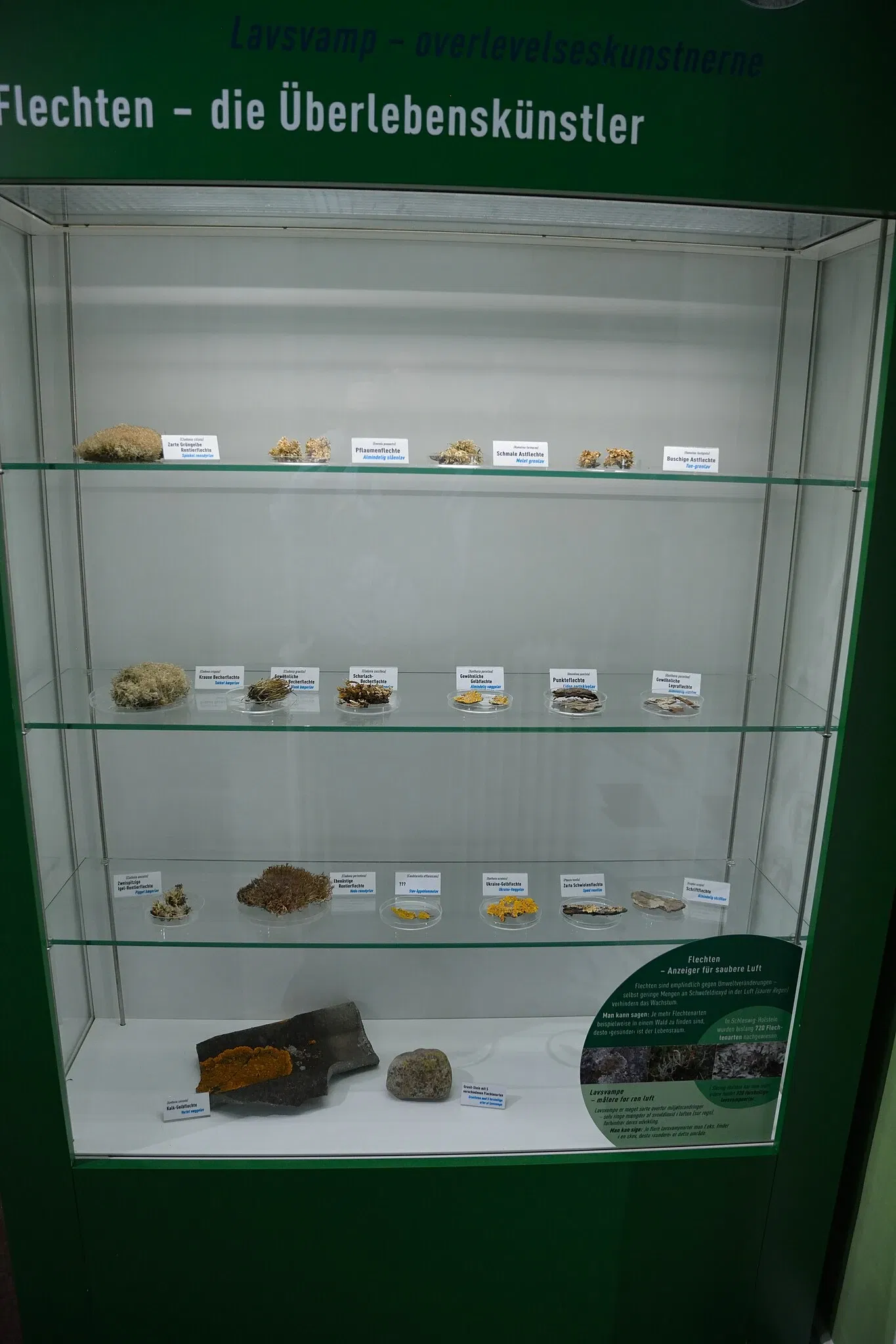 Naturkundemuseum Niebüll