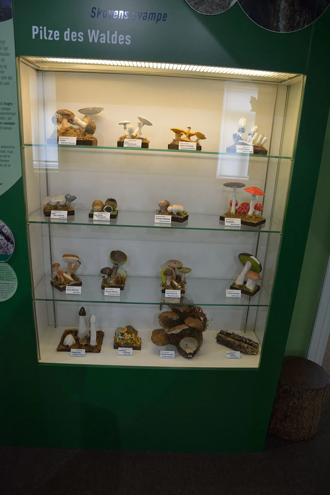 Naturkundemuseum Niebüll