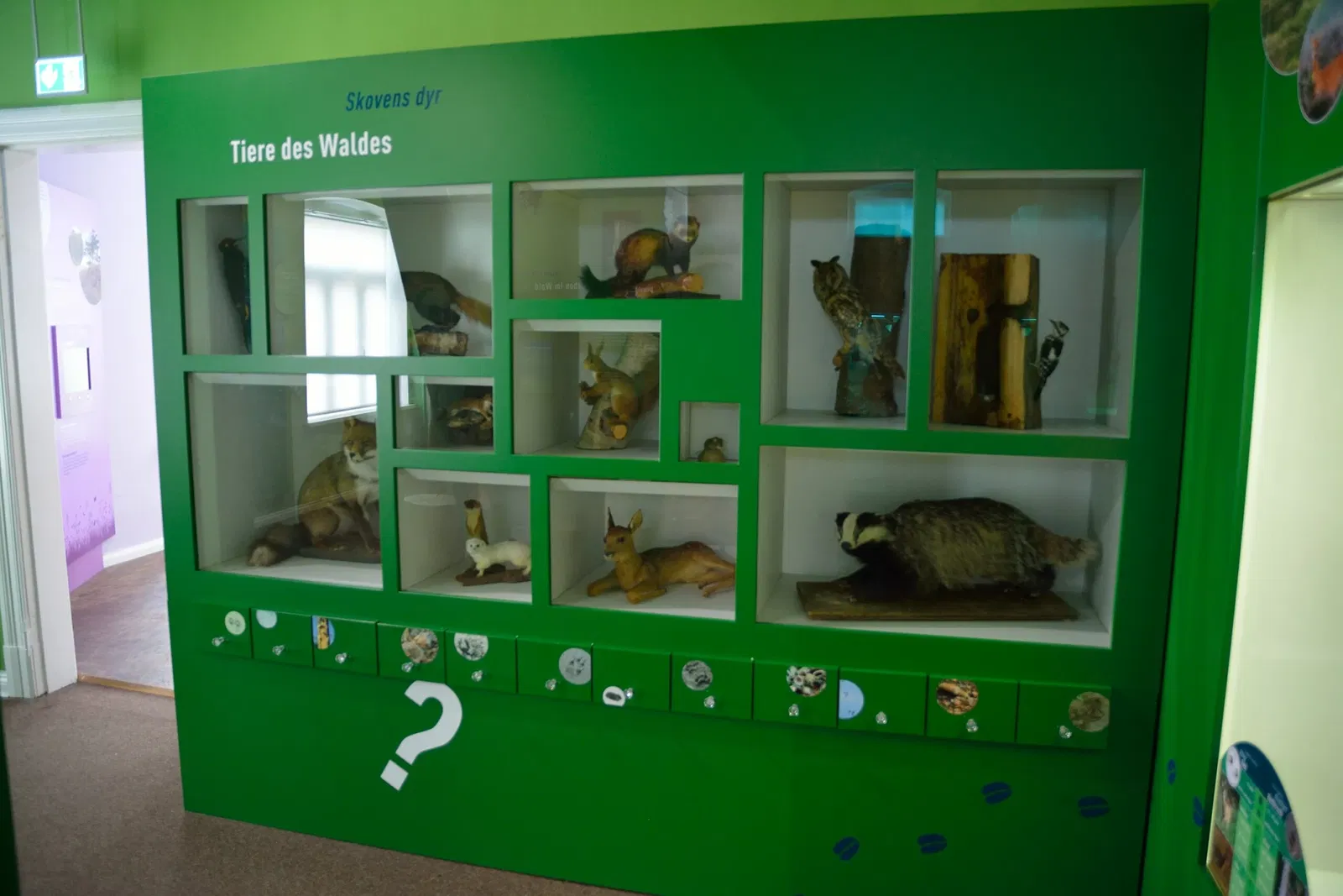 Naturkundemuseum Niebüll