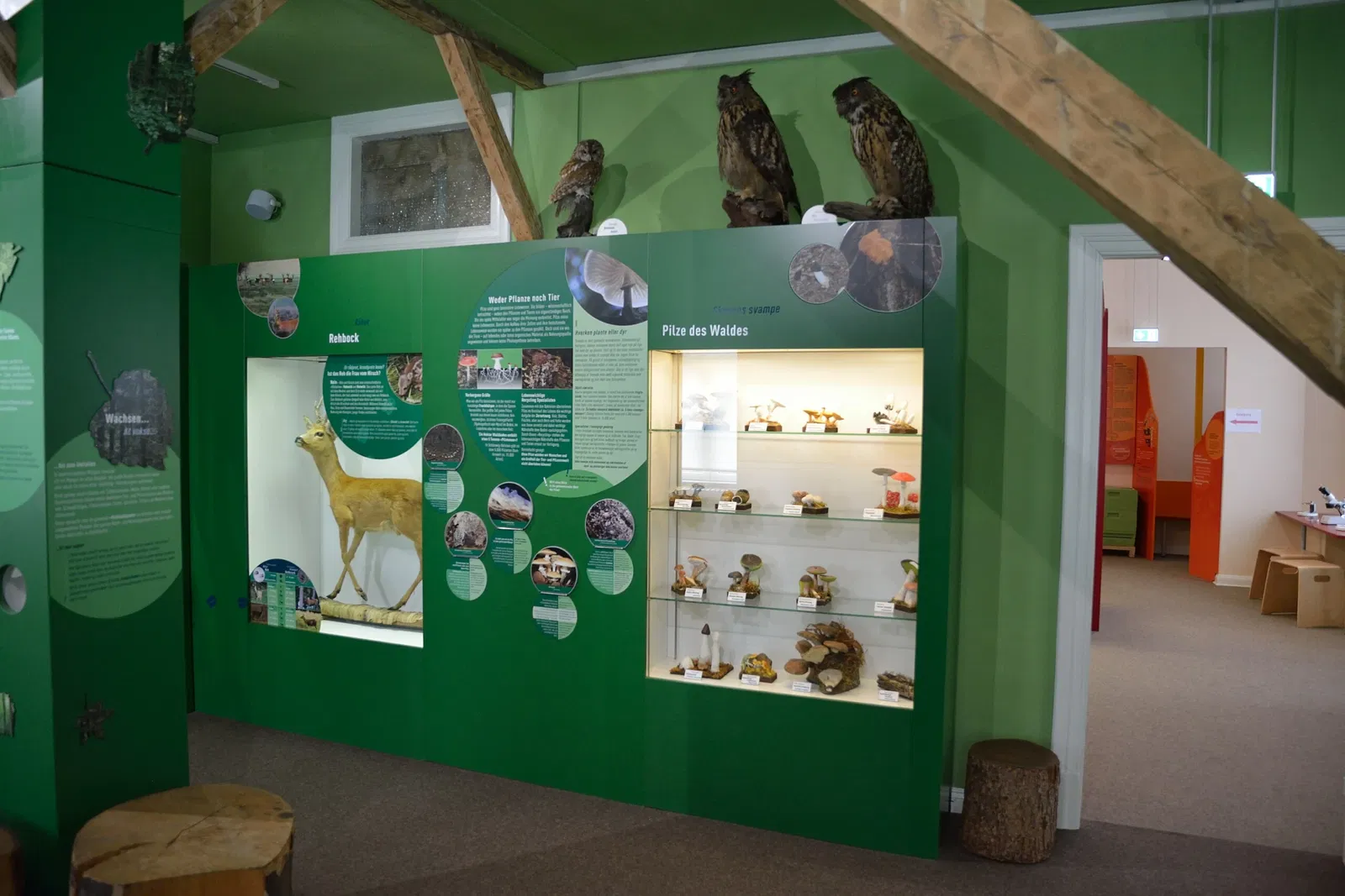 Naturkundemuseum Niebüll