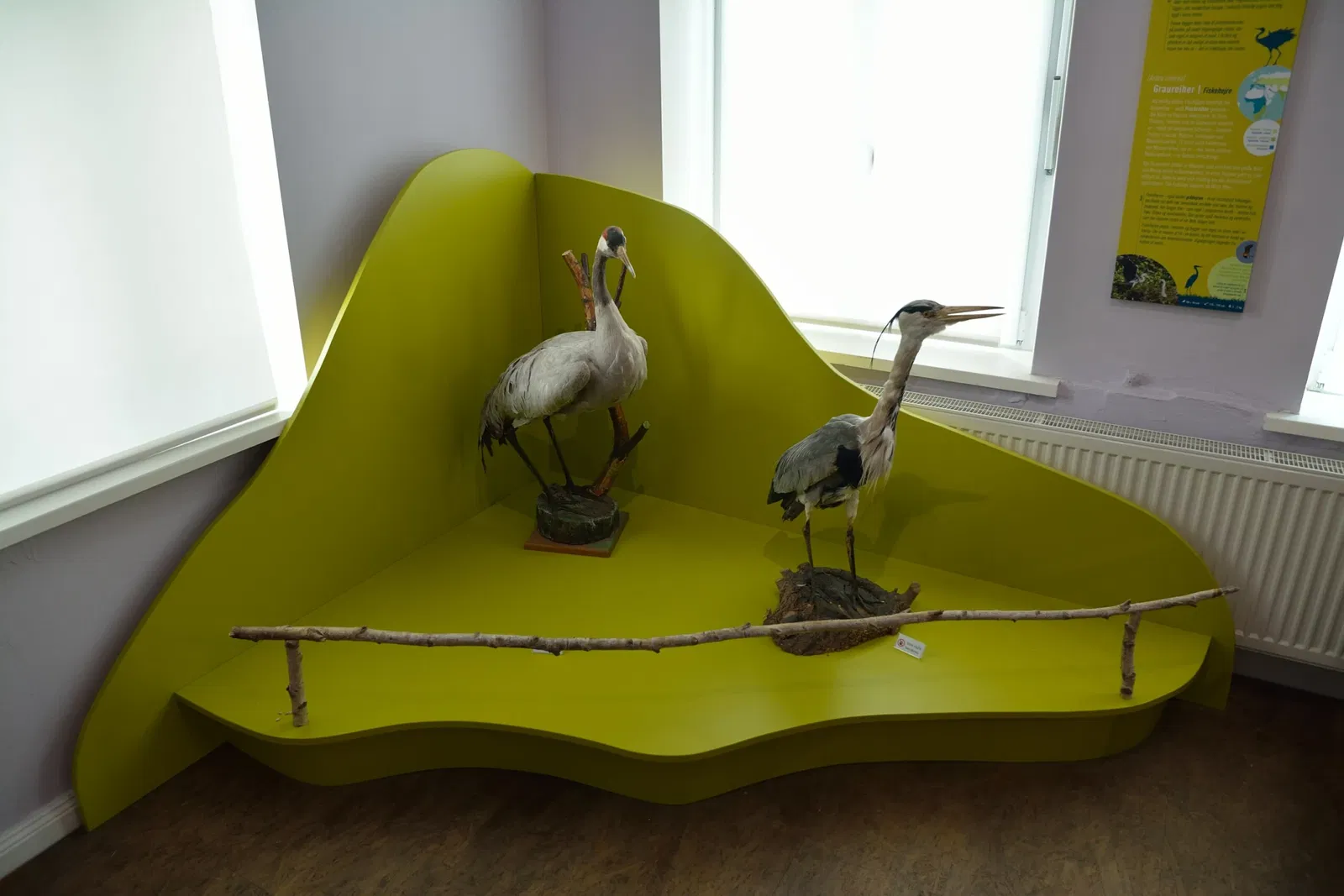 Naturkundemuseum Niebüll