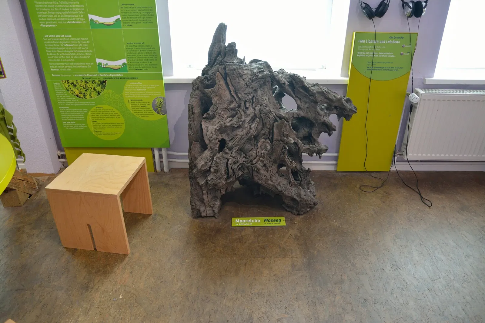 Naturkundemuseum Niebüll