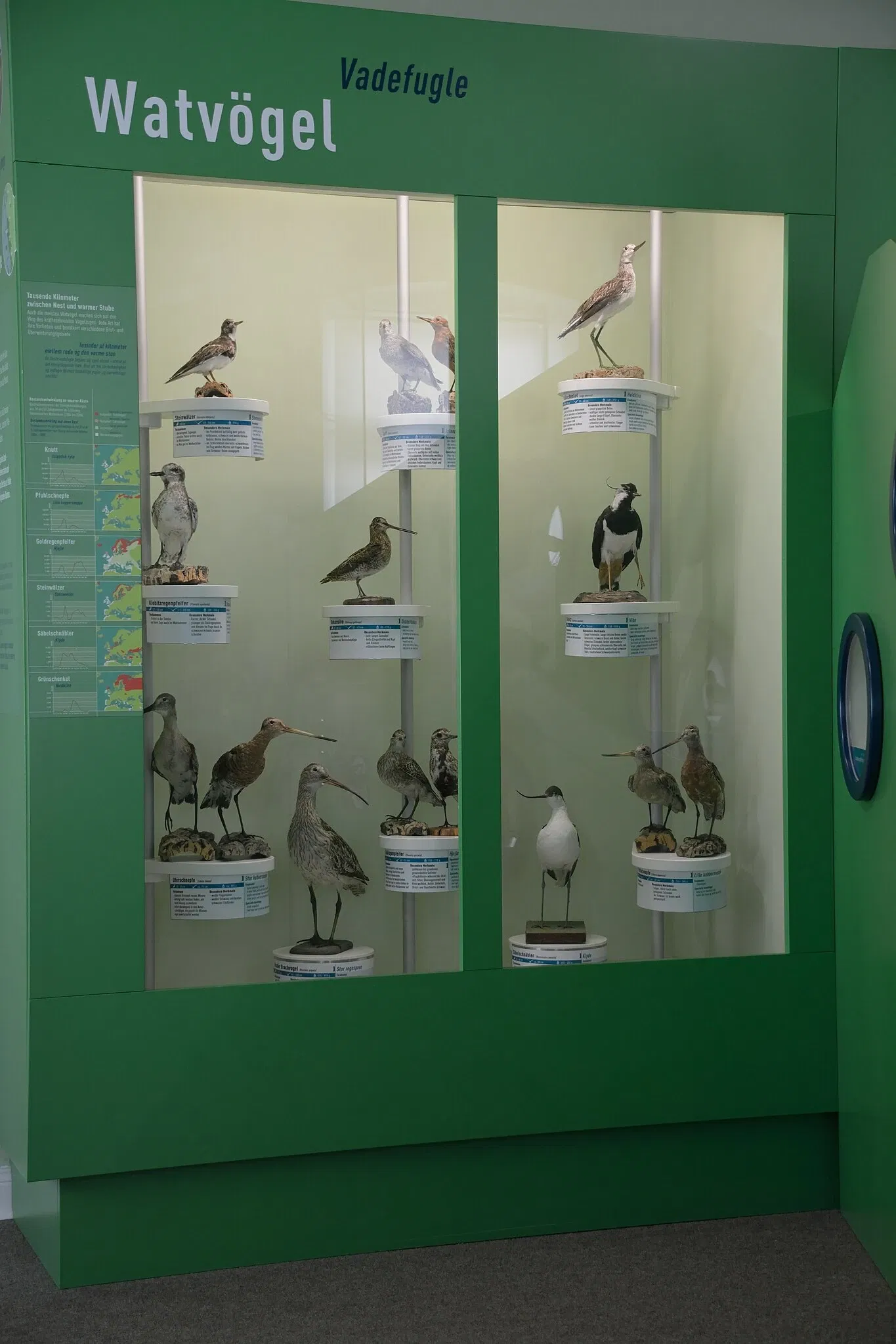 Naturkundemuseum Niebüll