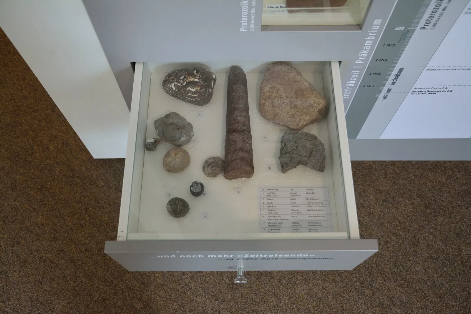 Naturkundemuseum Niebüll