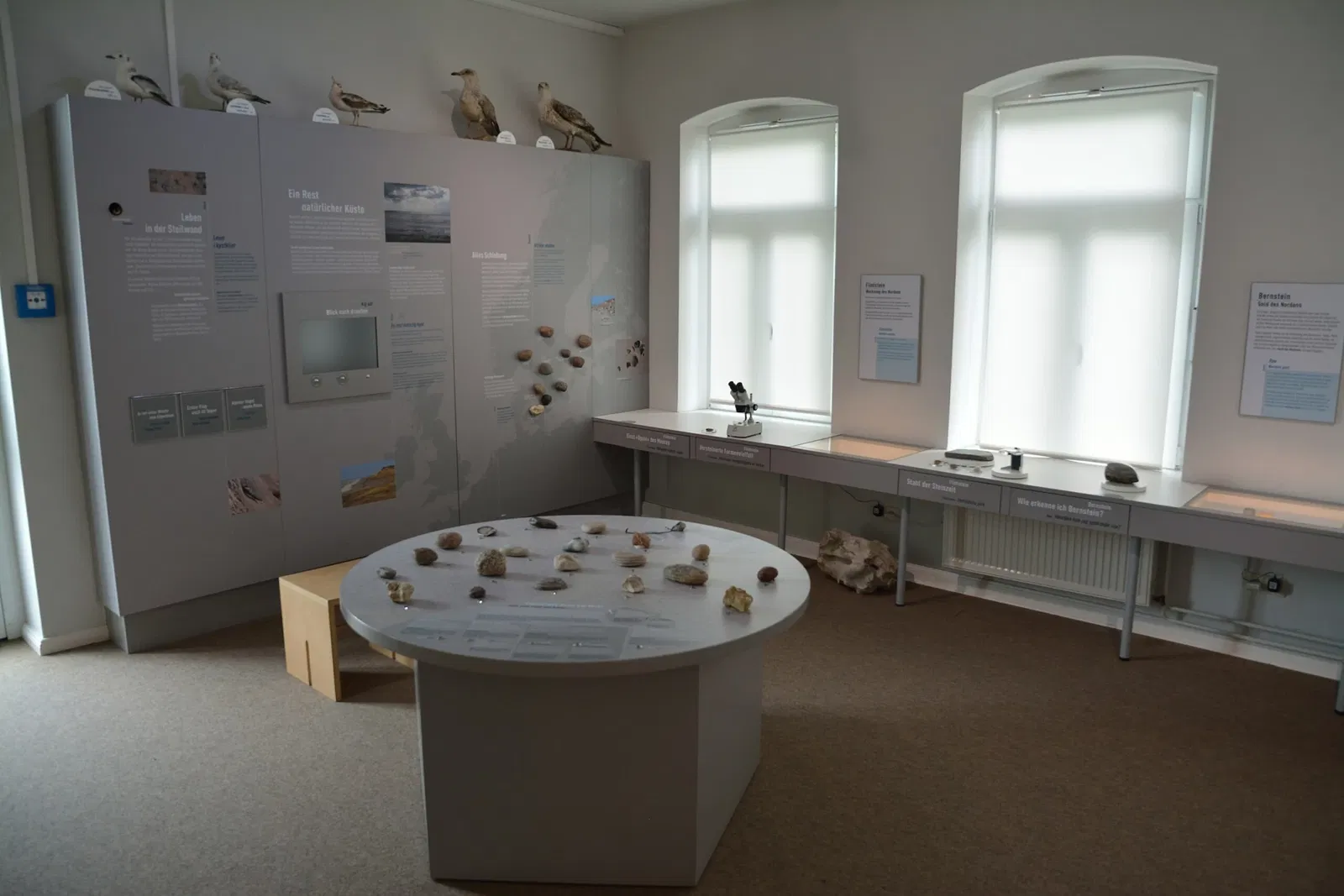 Naturkundemuseum Niebüll