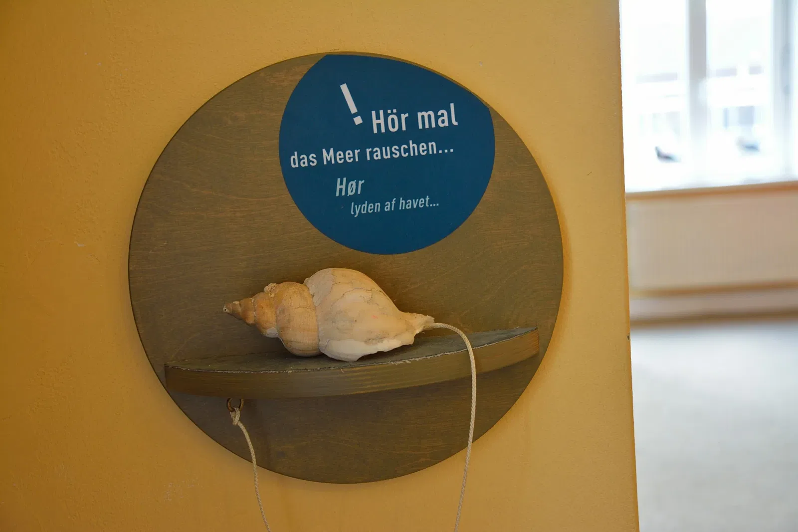 Naturkundemuseum Niebüll