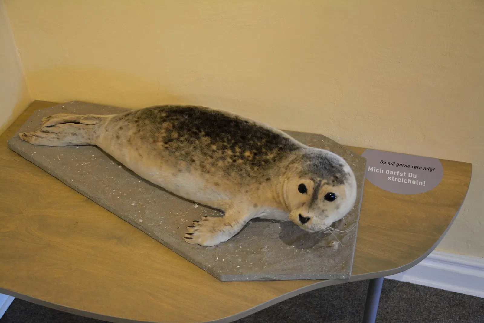 Naturkundemuseum Niebüll