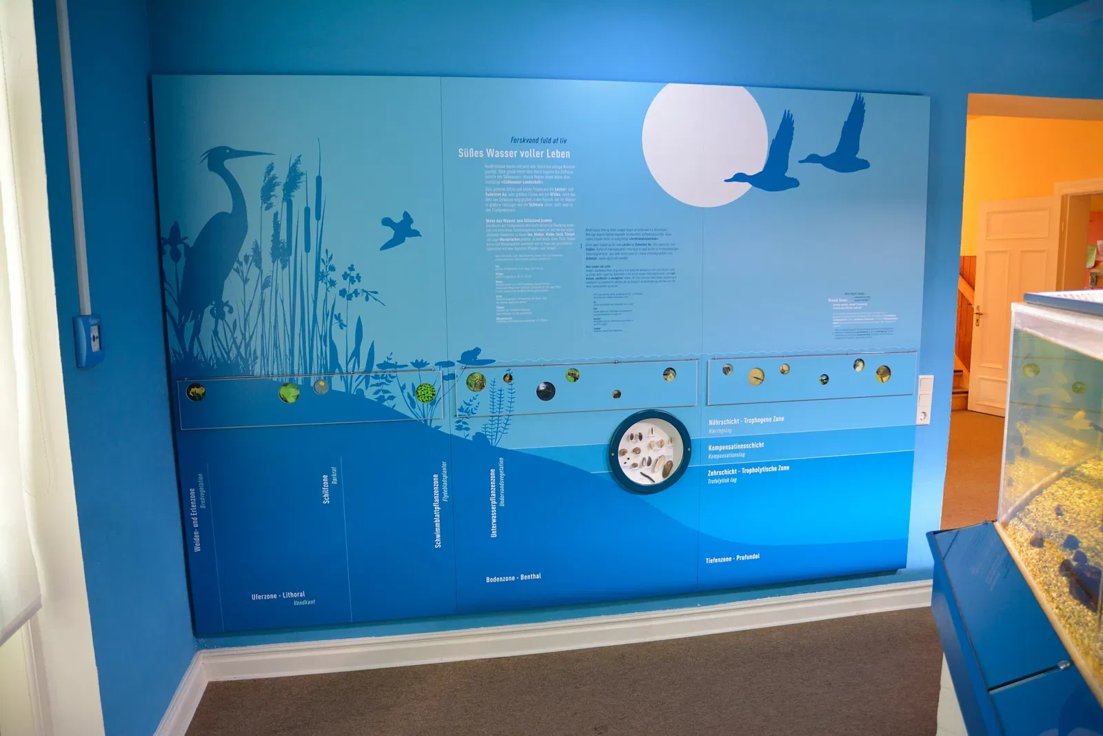 Naturkundemuseum Niebüll